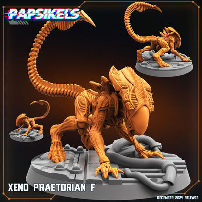 3D Printed Papsikels Xeno Praetorian Dec. 2024 SciFi 28mm 32mm