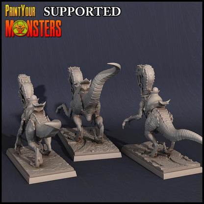 3D Printed Print Your Monsters Dark Elves Rider Set A 28mm - 32mm D&D Wargaming