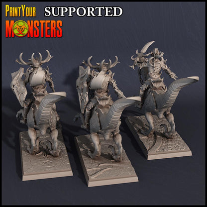 3D Printed Print Your Monsters Dark Elves Rider Set B 28mm - 32mm D&D Wargaming
