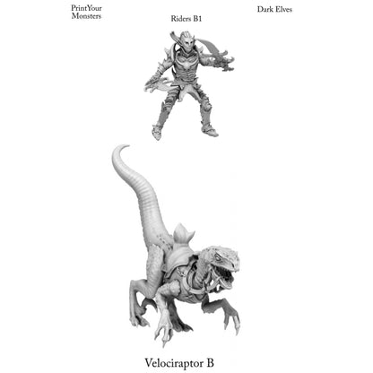 3D Printed Print Your Monsters Dark Elves Rider Set B 28mm - 32mm D&D Wargaming