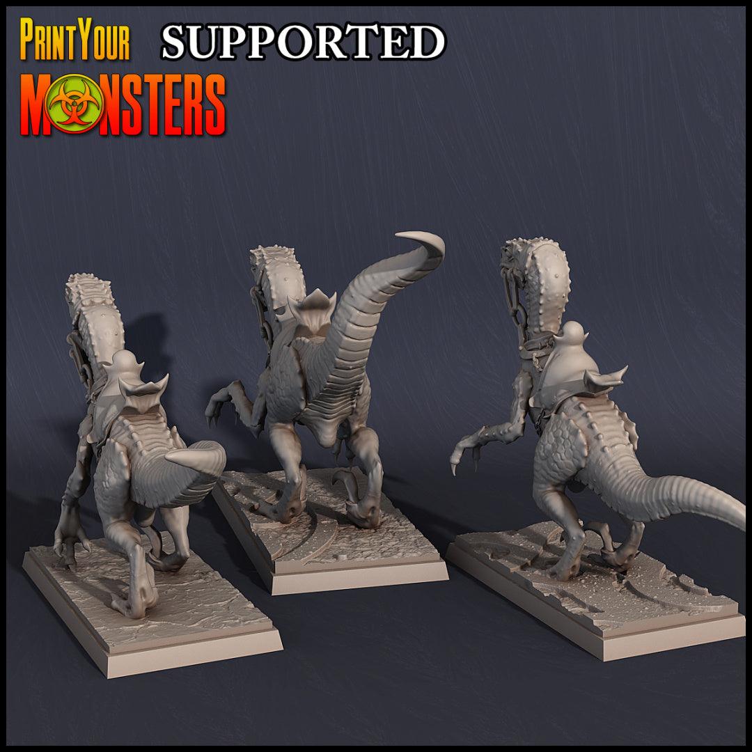 3D Printed Print Your Monsters Dark Elves Rider Set C 28mm - 32mm D&D Wargaming