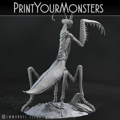 3D Printed Print Your Monsters Giant Mantis Total Insects 28mm - 32mm D&D Wargaming