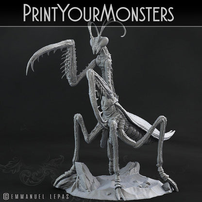 3D Printed Print Your Monsters Giant Mantis Total Insects 28mm - 32mm D&D Wargaming