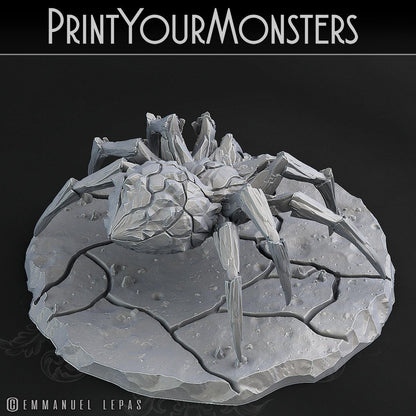3D Printed Print Your Monsters Magmaranea Spider 28mm - 32mm D&D Wargaming