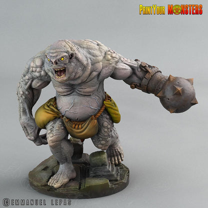 3D Printed Print Your Monsters Trolls Depths Of Choas Confronting The Abyss 28mm - 32mm D&D Wargaming