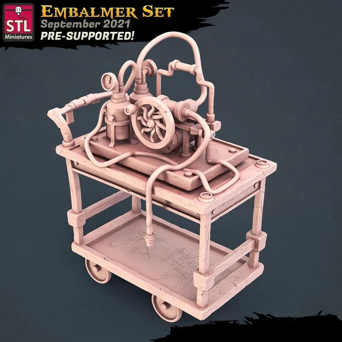 3D Printed STL Miniatures Embalmer Set Fantasy NPC 2 | 28 - 32mm War Gaming D&D
