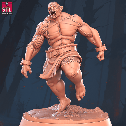 3D Printed STL Miniatures Flesh Golem 28 - 32mm War Gaming D&D