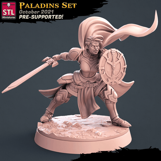 3D Printed STL Miniatures Paladin Set 28 - 32mm War Gaming D&D