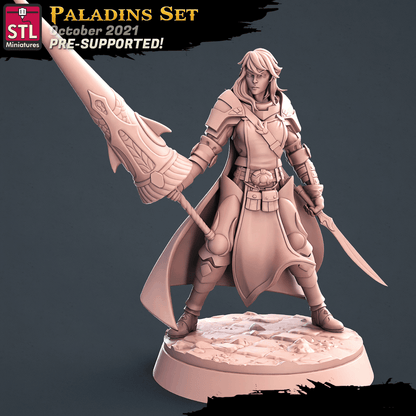 3D Printed STL Miniatures Paladin Set 28 - 32mm War Gaming D&D