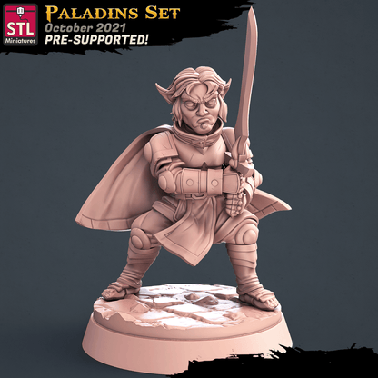 3D Printed STL Miniatures Paladin Set 28 - 32mm War Gaming D&D