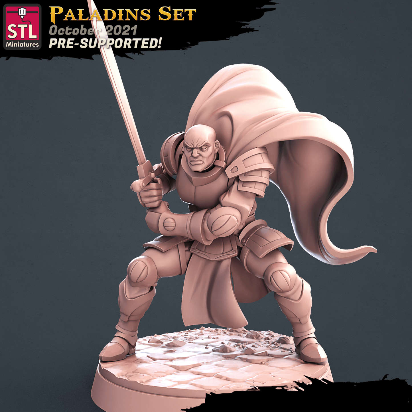 3D Printed STL Miniatures Paladin Set 28 - 32mm War Gaming D&D