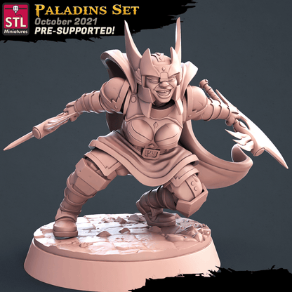 3D Printed STL Miniatures Paladin Set 28 - 32mm War Gaming D&D