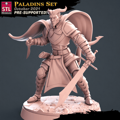 3D Printed STL Miniatures Paladin Set 28 - 32mm War Gaming D&D
