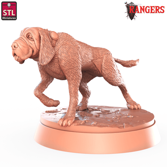 3D Printed STL Miniatures Ranger Hounds Rangers  28 - 32mm War Gaming D&D