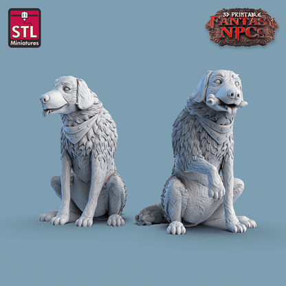 3D Printed STL Miniatures SG4 Individual Characters Set Fantasy NPC 28mm - 32mm War Gaming D&D