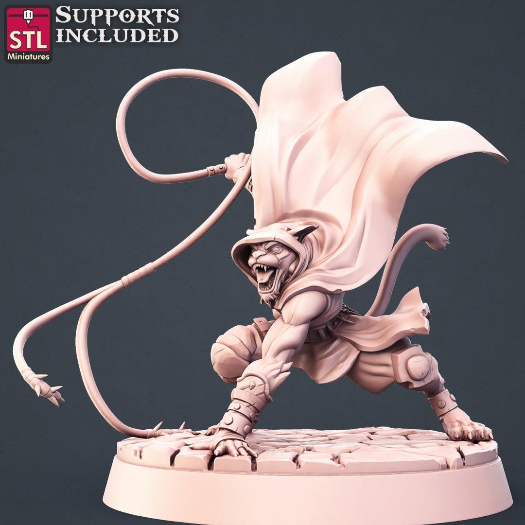 3D Printed STL Miniatures Tabaxi Assassins Set 28 - 32mm War Gaming D&D
