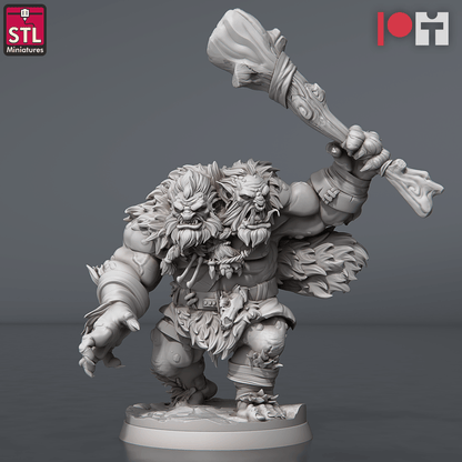3D Printed STL Miniatures Two Headed Show Troll Set 28 - 32mm War Gaming D&D