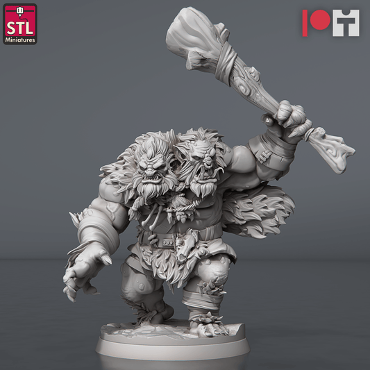 3D Printed STL Miniatures Two Headed Show Troll Set 28 - 32mm War Gaming D&D