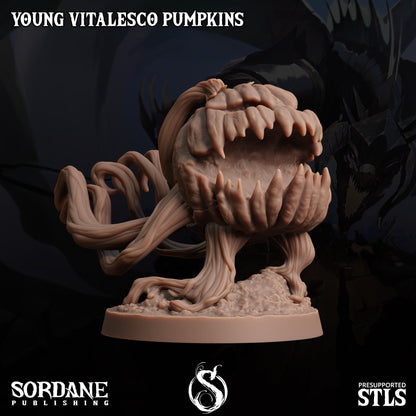 3D Printed Sordane Publishing Young Vitalesco Pumpkins 28 32mm D&D