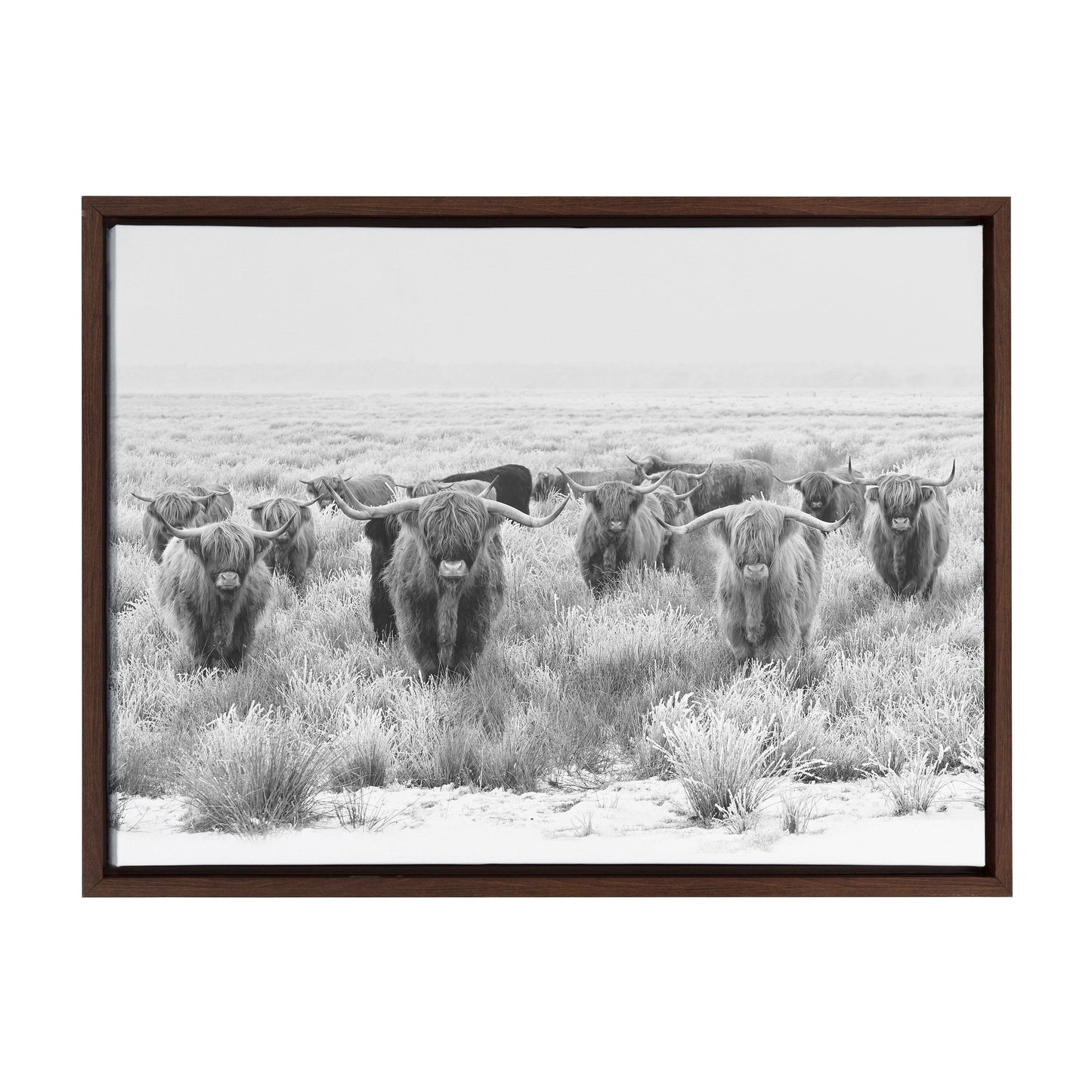 Sylvie Herd of Highland Cows Black and White Framed Canvas by The Creative Bunch Studio