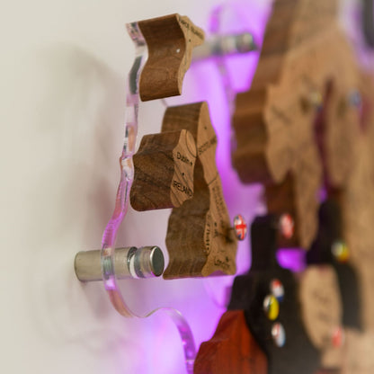 3D Solid Wooden World Map