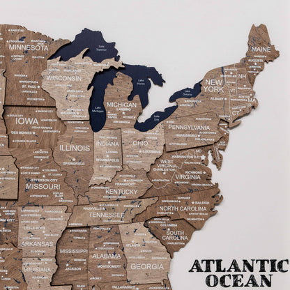 3D Wooden USA Map on Board - Terra