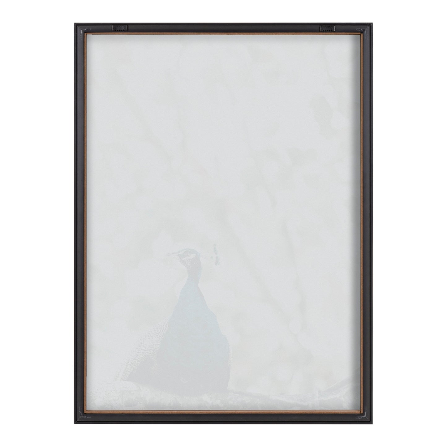Blake Peacock Framed Printed Glass by Alicia Abla