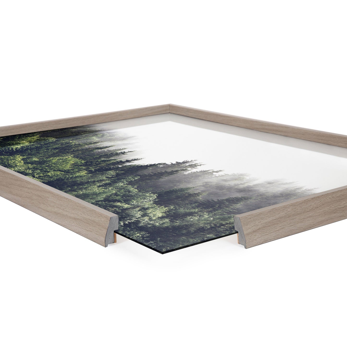 Blake Lush Green Forest on a Foggy Day Framed Printed Glass by The Creative Bunch Studio