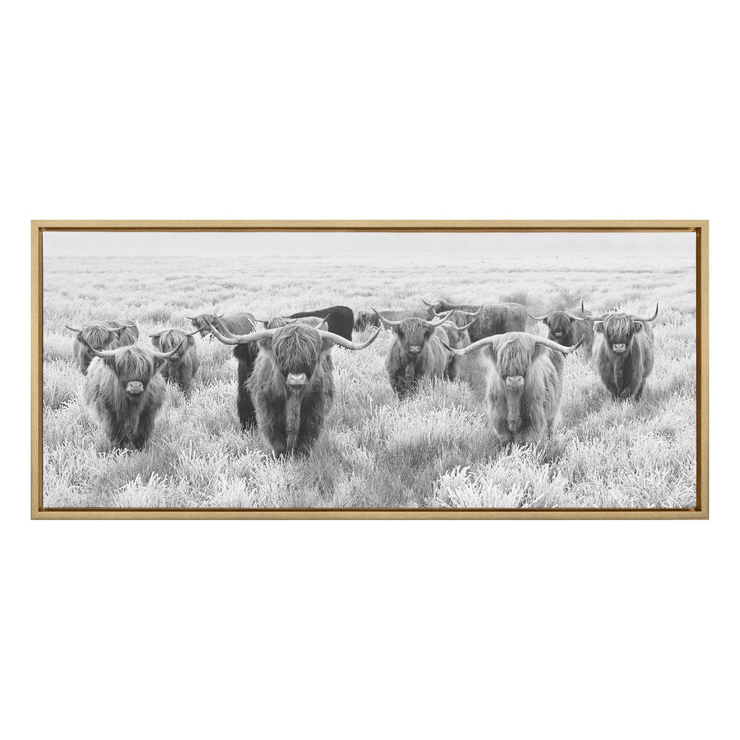 Sylvie Herd of Highland Cows Black and White Framed Canvas by The Creative Bunch Studio