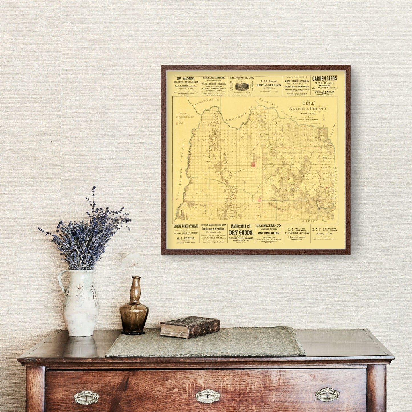 Vintage Map of Alachua County, Florida 1880
