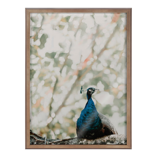 Blake Peacock Framed Printed Glass by Alicia Abla