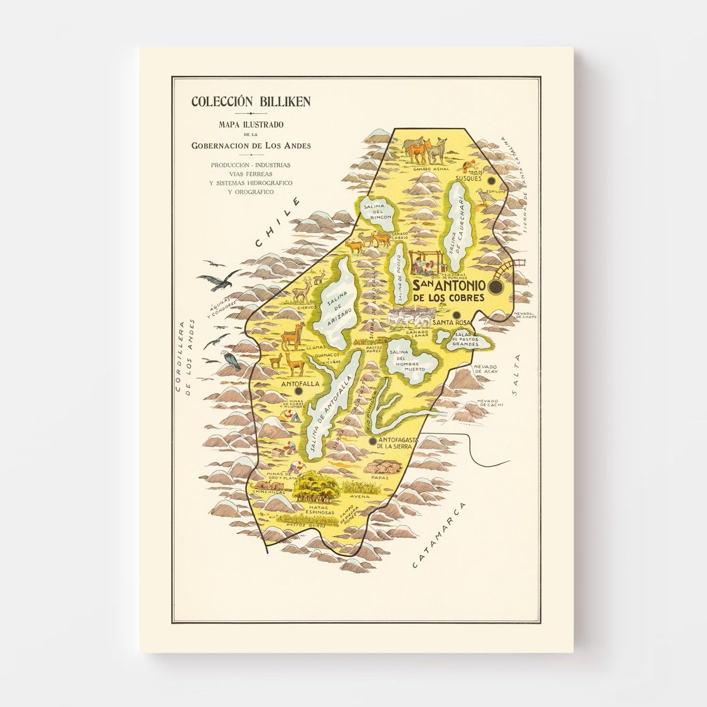 Vintage Map of Andes Mountains, 1933