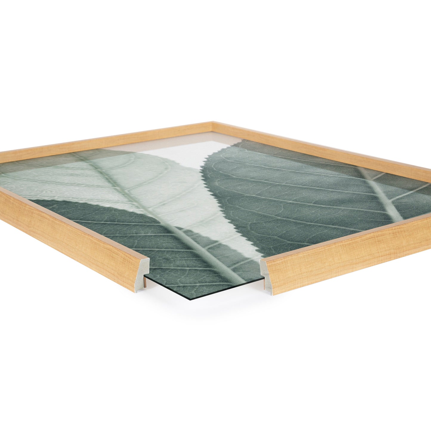 Blake Modern Green Leaf Botanical Framed Printed Glass by The Creative Bunch Studio