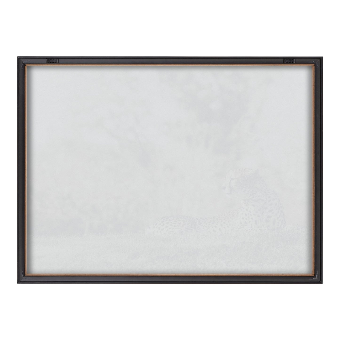 Blake Cheetah Framed Printed Glass by Alicia Abla