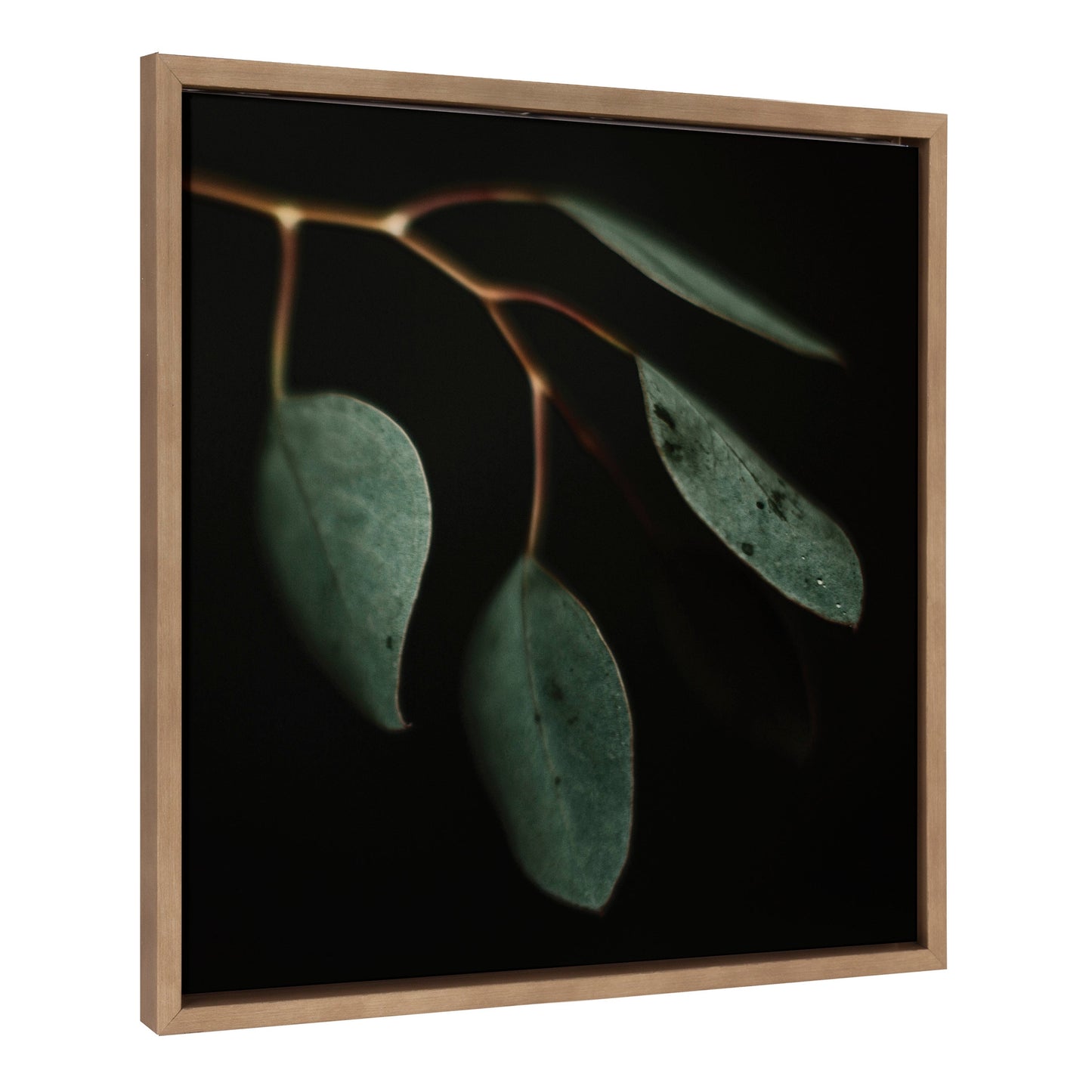 Sylvie Eucalyptus Leaves Framed Canvas by Alicia Abla