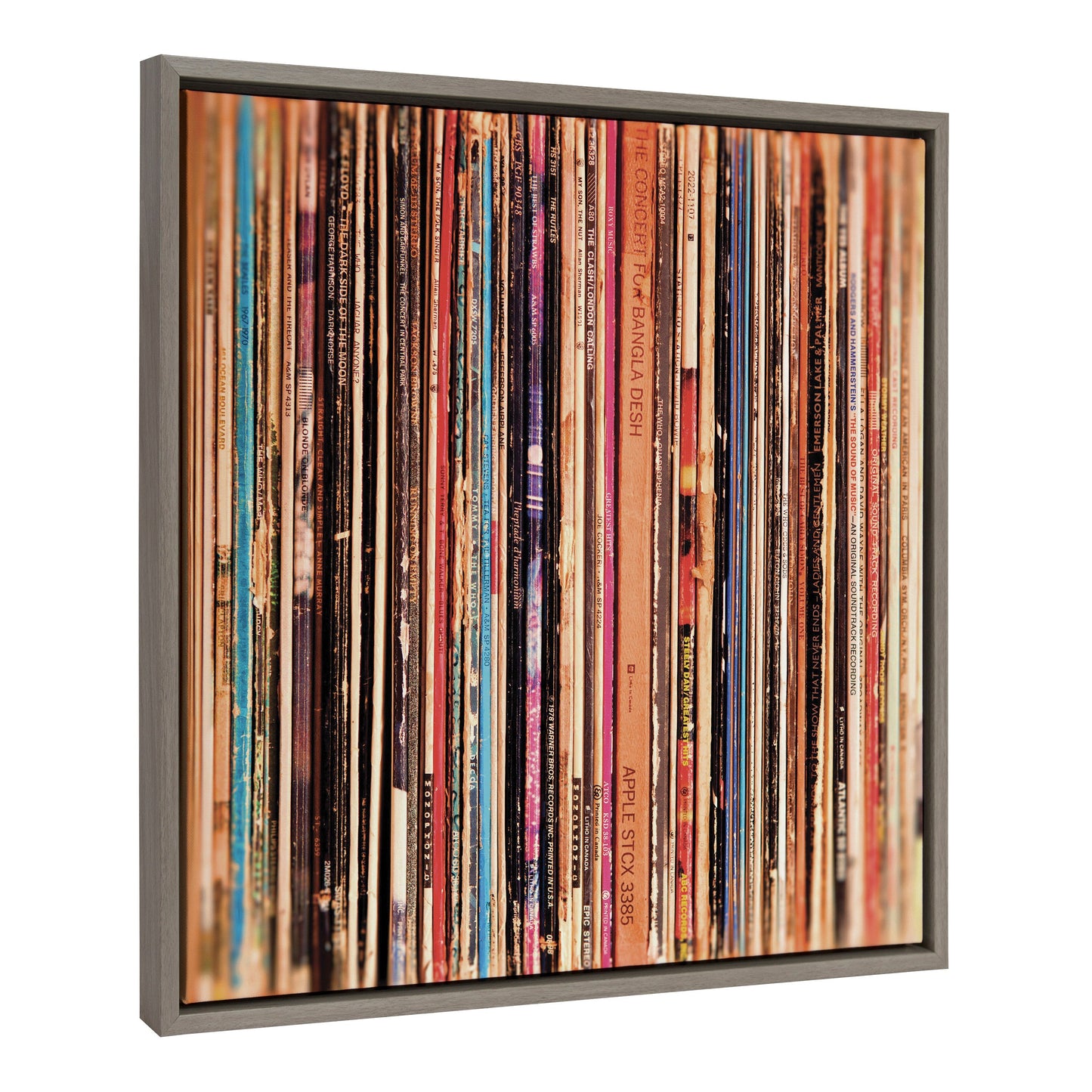 Sylvie Records Framed Canvas by Robert Cadloff of Bomobob