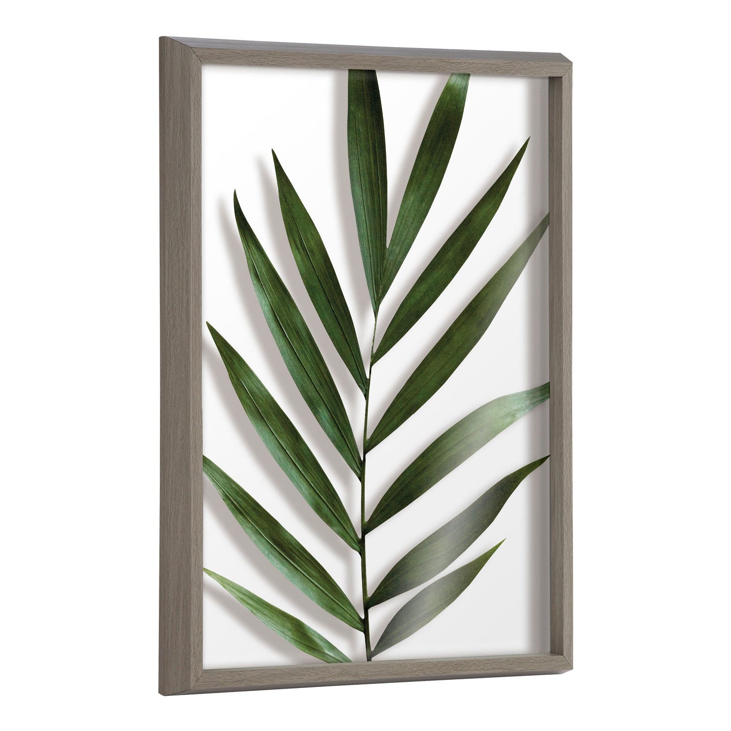 Blake Botanical 5F Framed Printed Glass by Amy Peterson