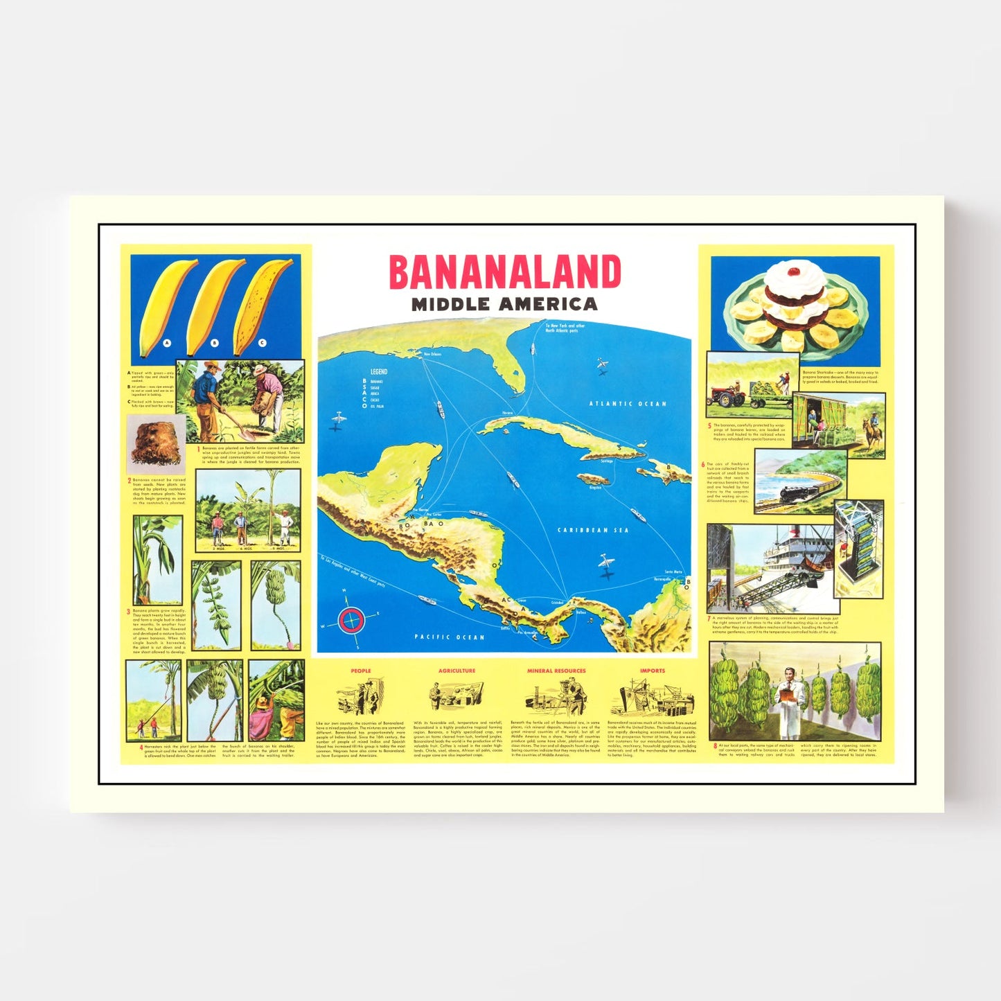 Vintage Map of Bananaland, 1958