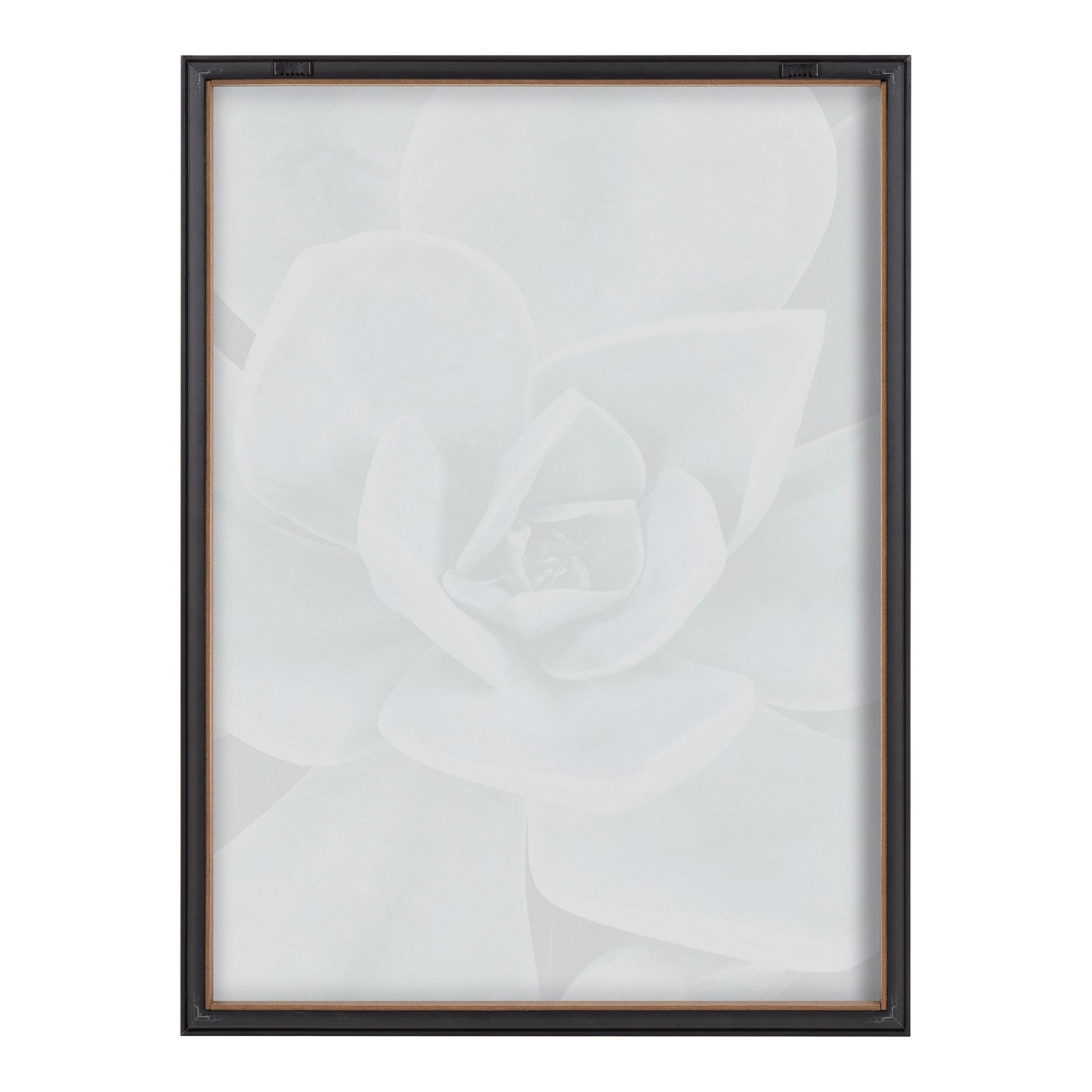 Blake Botanical Succulent Plants 3 Framed Printed Glass by The Creative Bunch Studio