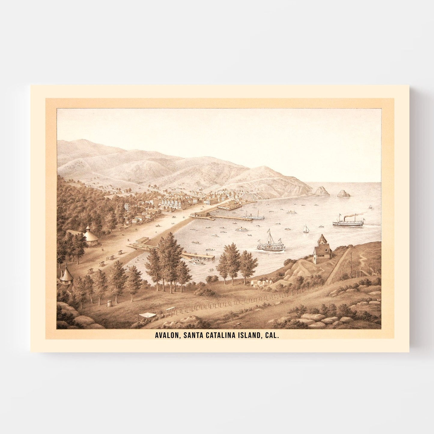 Vintage Map of Avalon, California 1885