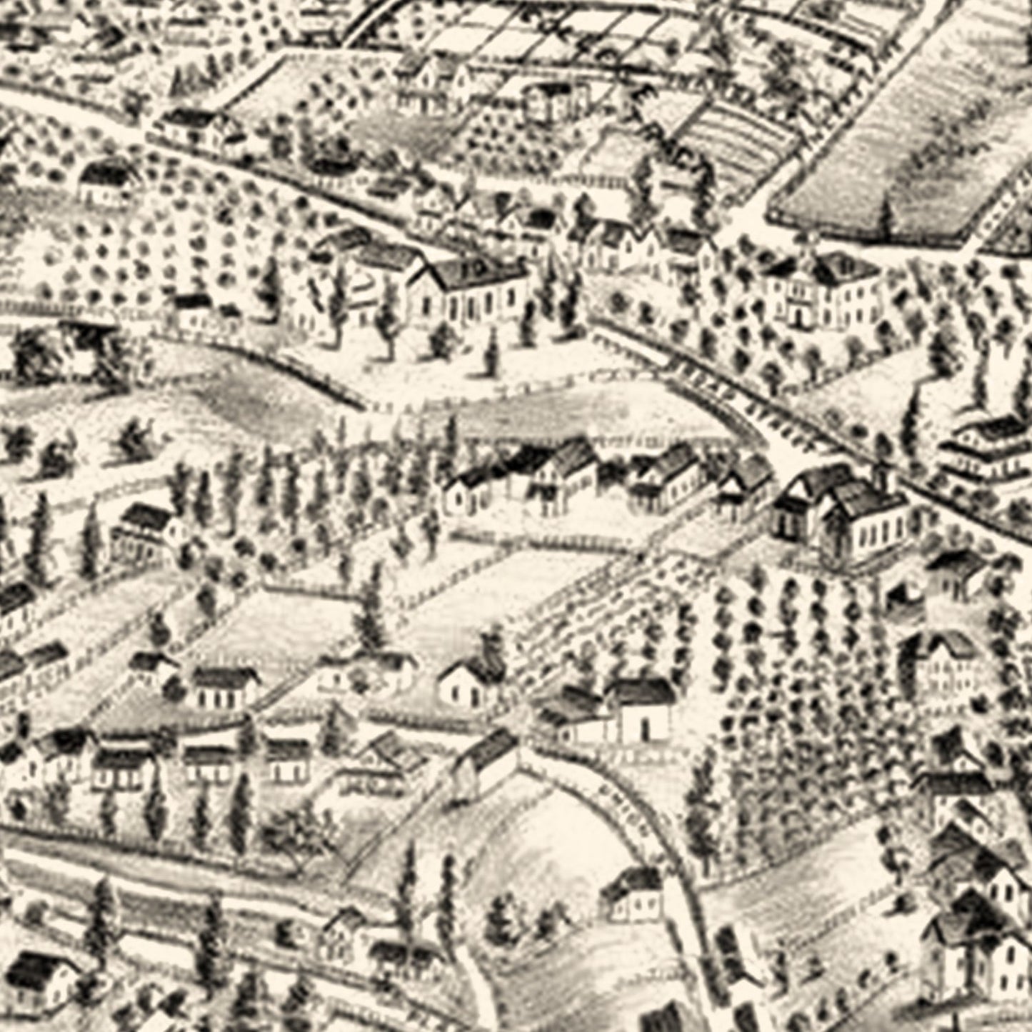 Vintage Map of Auburn, California 1887