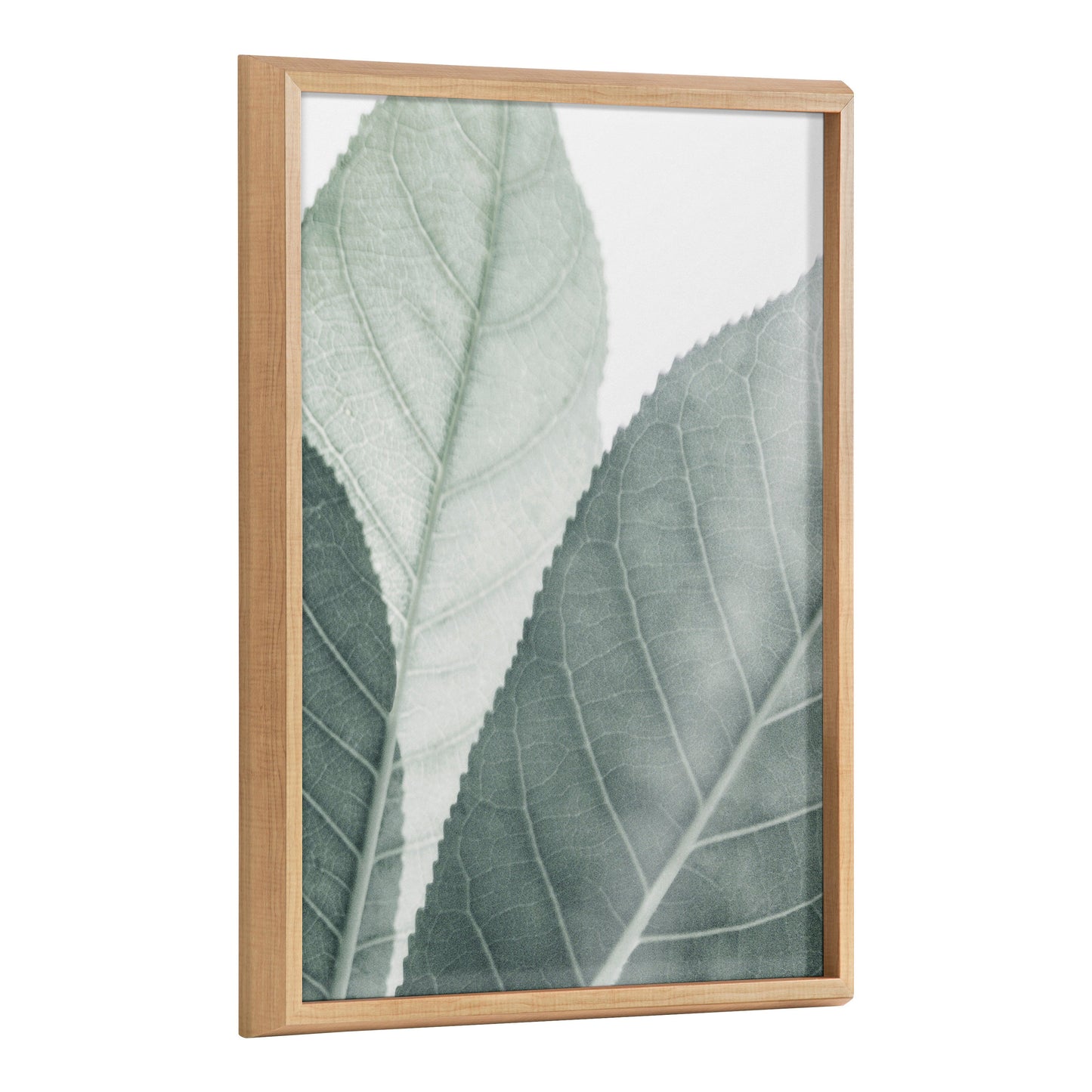 Blake Modern Green Leaf Botanical Framed Printed Glass by The Creative Bunch Studio