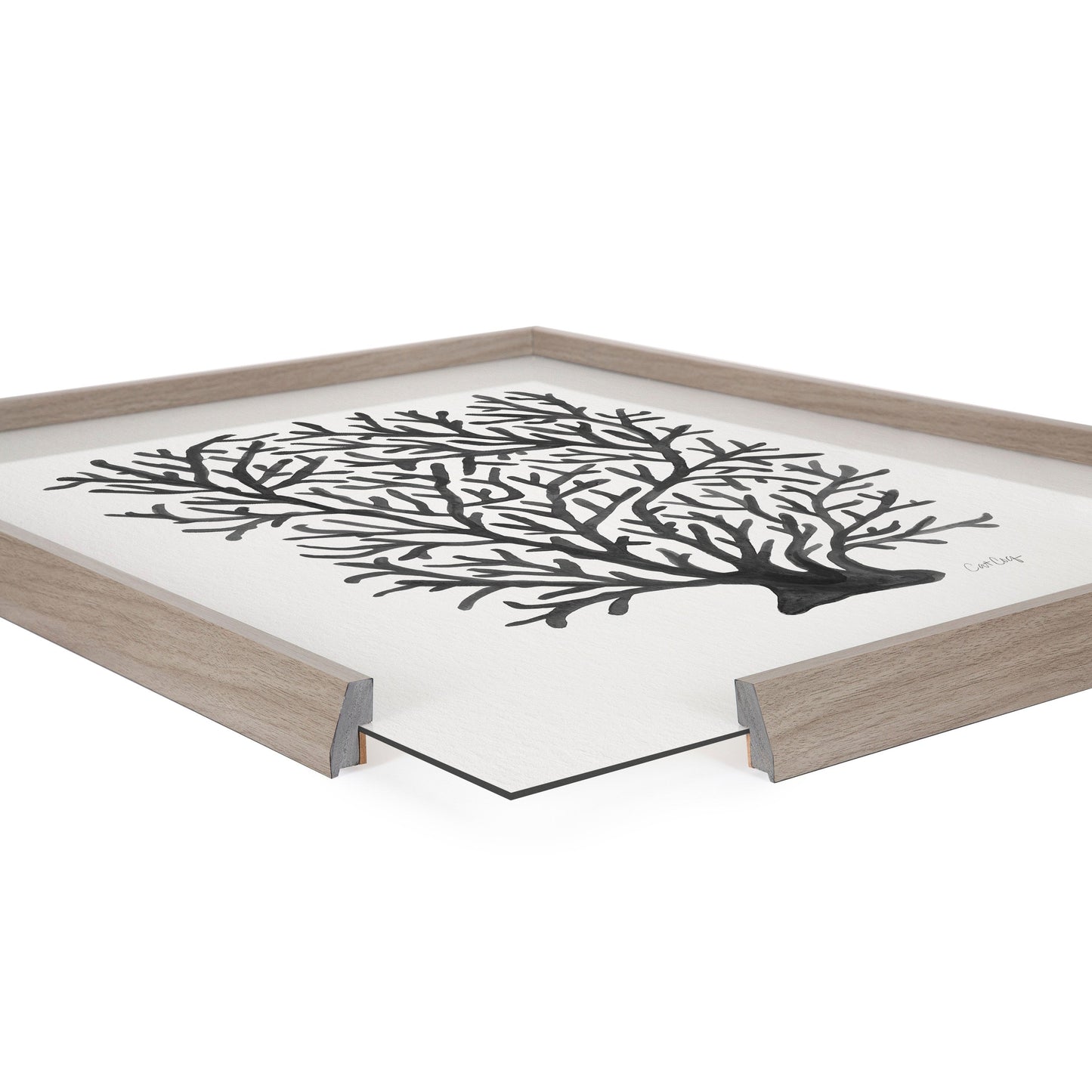 Blake Coral Black Framed Printed Glass by Cat Coquillette
