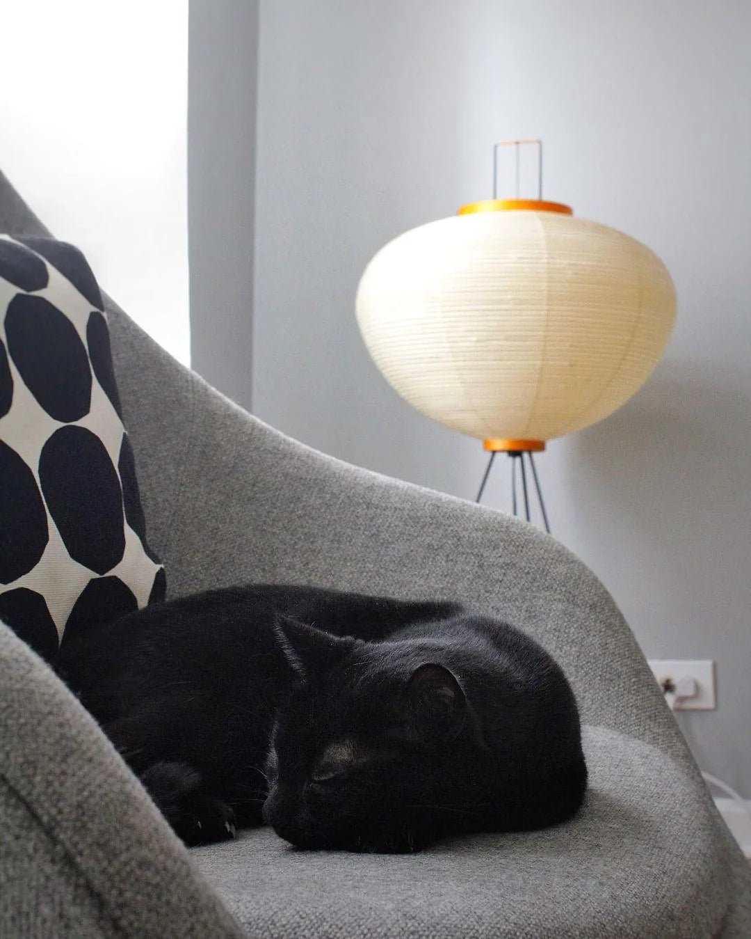 Akari Series Floor Lamp