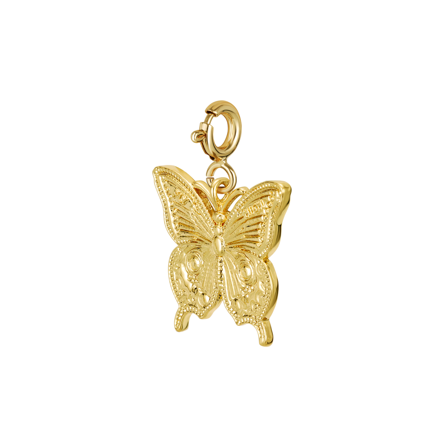 Papillon