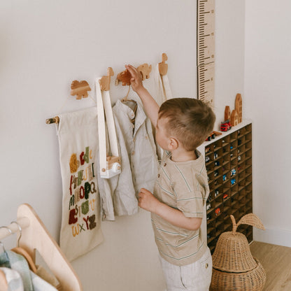 Dinosaurs Wall Hooks
