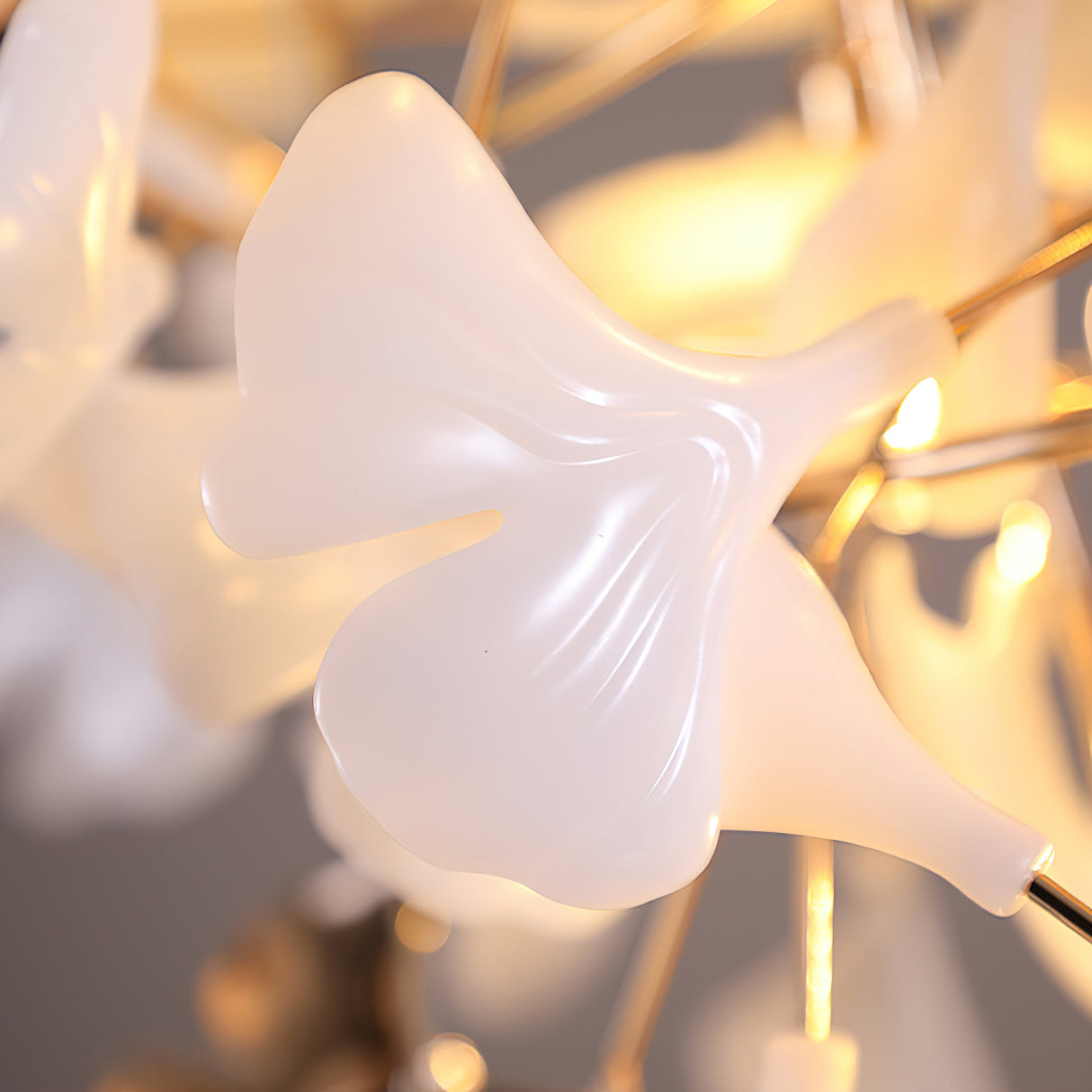 Gingko Ojo chandelier