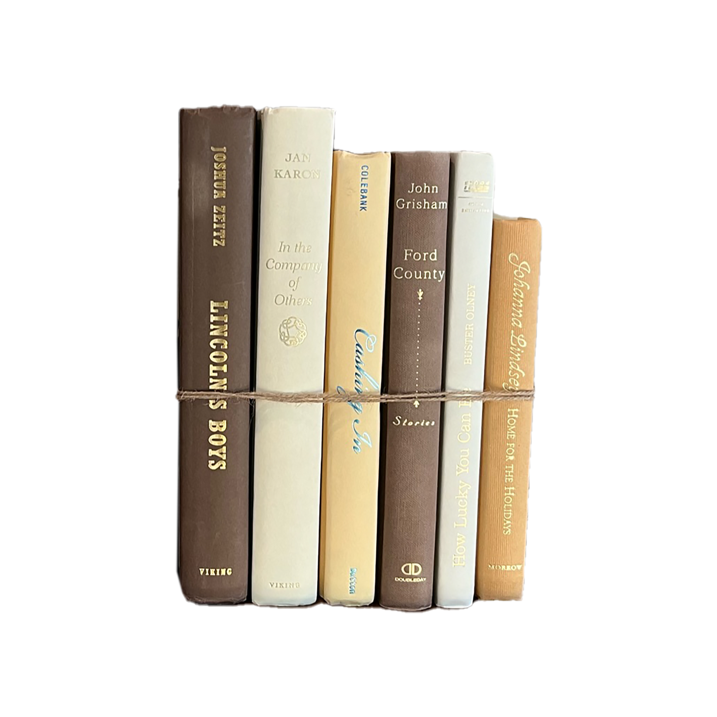 Modern Book Bundle by Color