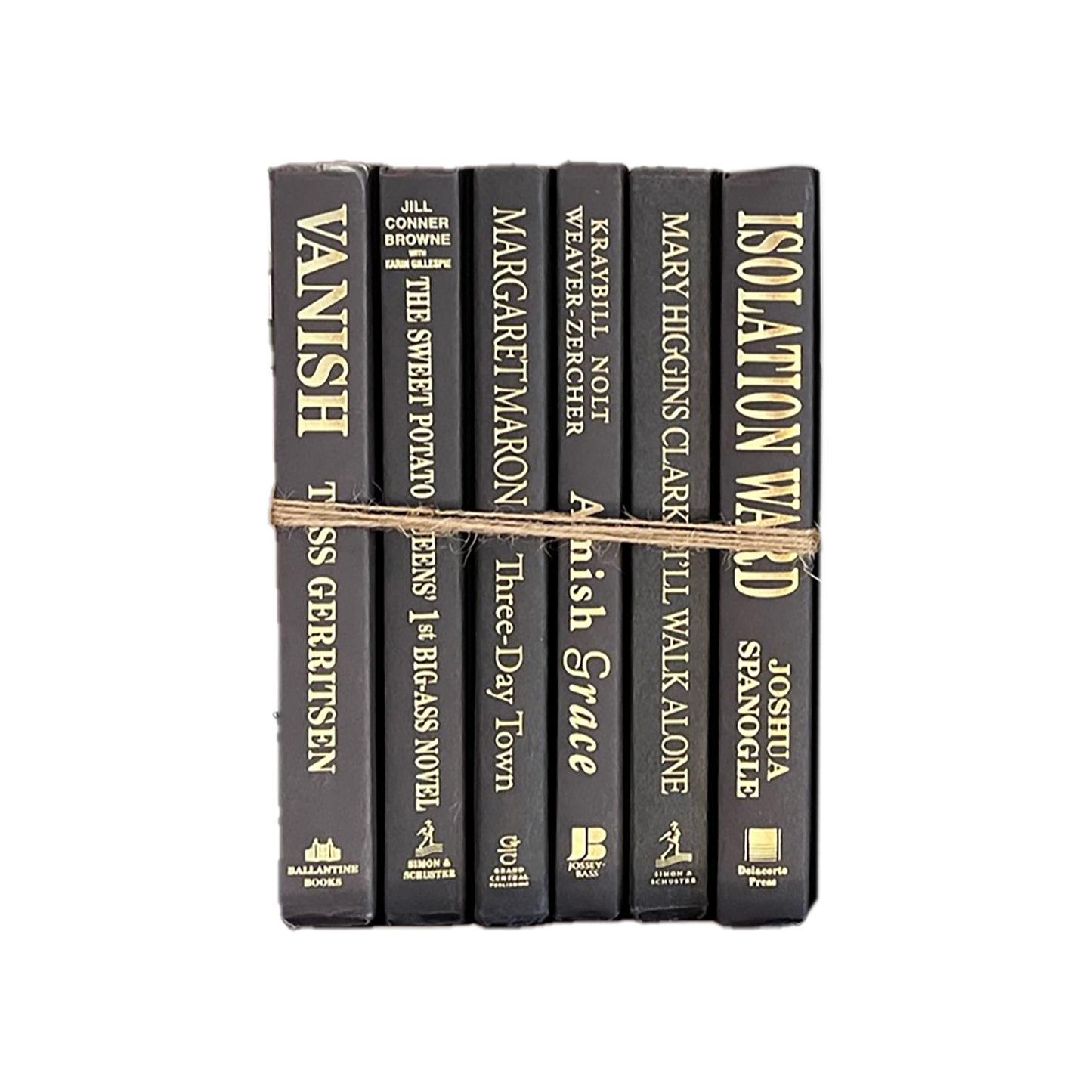 Modern Book Bundle by Color