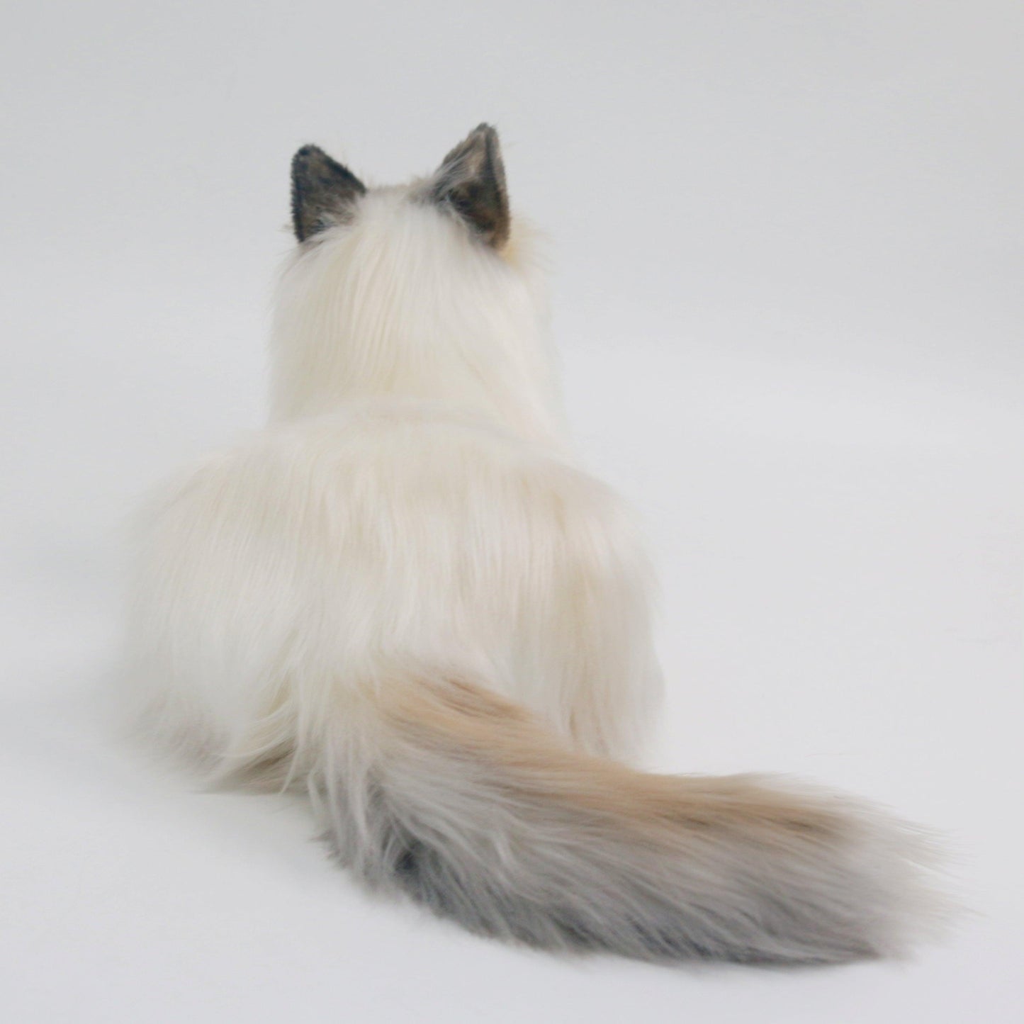 Plush Dog Stuffed Animal Brown Hair Cat with Blue Eyes Order to Make